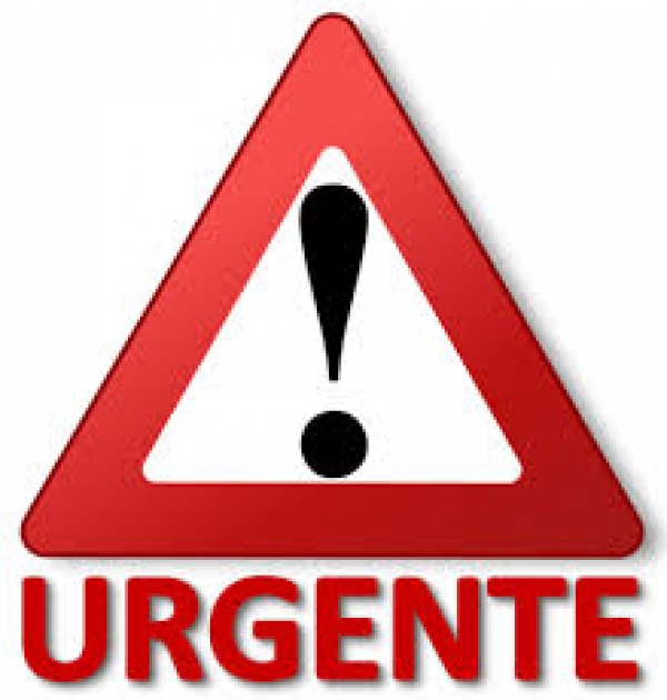 MSICG CONDENA ANTEJUICIO INSTADO POR LA FISCAL GENERAL EN CONTRA DE LOS MAGISTRADOS DE LA CORTE DE CONSTITUCIONALIDAD Y ALERTA SOBRE POSIBLE CAPTURA DE MAGISTRADOS DE LA CC